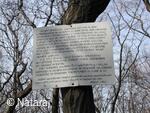 Skalka u Doks, cesta na zříceninu hradu Starý Berštejn