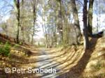 Víceúčelový lázeňský okruh Teplice nad Bečvou